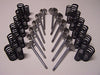 SEADOO  Intake Exhaust Valve Kit with springs 420254293,  711254290,  420254290, 420238180, 420838280 Springs